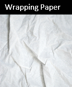 wrappapercat